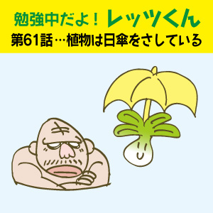 勉強中だよ!レッツくん 第61話…植物は日傘をさしている